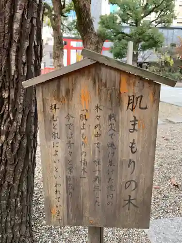 御霊神社の歴史