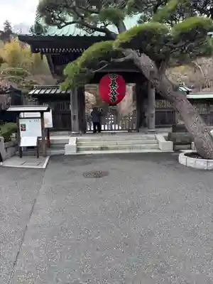 長谷寺(神奈川県)