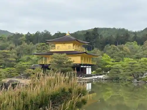 鹿苑寺（金閣寺）の{uncategorized: "未分類", other: "その他", undefined: "問題あり", building: "その他建物", grave: "お墓", sacred_gate: "鳥居", guardian: "狛犬", statue: "像", buddha: "仏像", history: "歴史", nature: "自然", garden: "庭園", animal: "動物", pagoda: "塔", temizu: "手水舎", mountain_gate: "山門・神門", sanctuary: "本殿・本堂", subordinate: "末社・摂社", art: "芸術", scenery: "景色", jizo: "地蔵", ema: "絵馬", goshuin: "御朱印", omikuji: "おみくじ", items: "授与品その他", amulet: "お守り", goshuincho: "御朱印帳", eats: "食事", festival: "お祭り", votive_dance: "神楽", shichigosan: "七五三参", wedding: "結婚式", experience: "体験その他", initially: "初詣", around: "周辺", anti_infection: "感染症対策"}