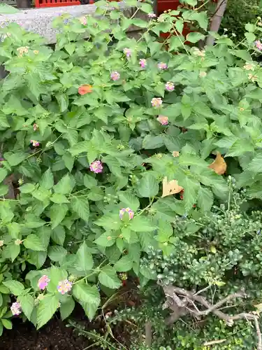 五方山熊野神社の自然