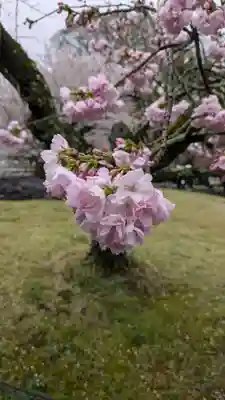 醍醐寺(京都府)