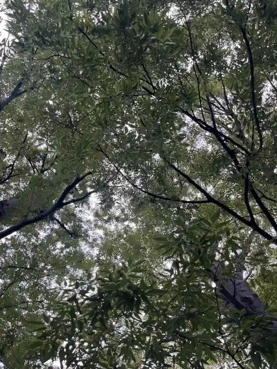 前川神社(埼玉県)