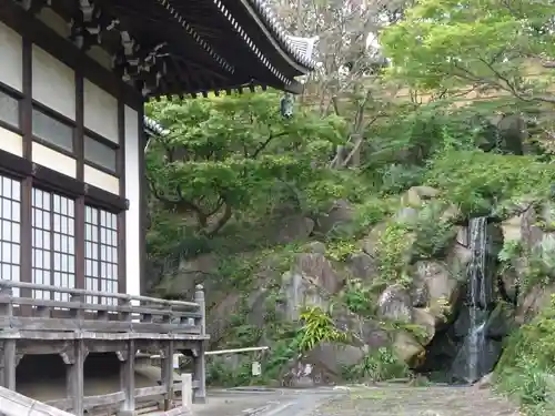 妙蓮寺の庭園