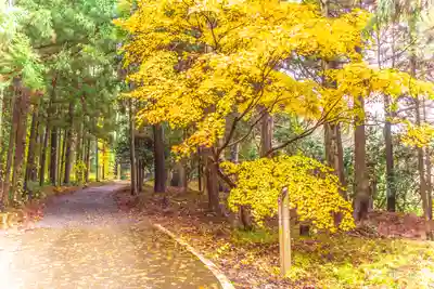 御嶽神社 龍澤宮(山形県)
