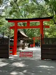 賀茂御祖神社（下鴨神社）の鳥居