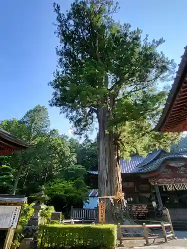 北口本宮冨士浅間神社(山梨県)