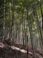 大徳院(岐阜県)