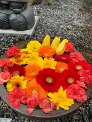 彌都加伎神社の手水