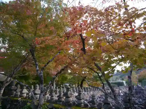 化野念仏寺の自然