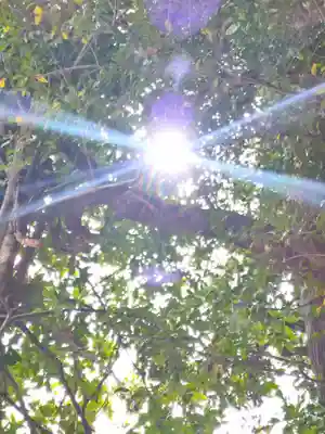 由加神社（和気由加神社）の自然