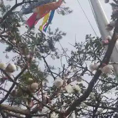 彌彦神社　(伊夜日子神社)(北海道)