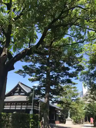 安養寺の本殿・本堂