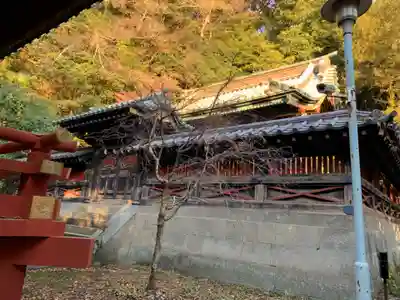 静岡浅間神社の本殿・本堂