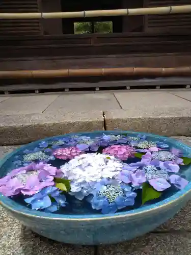 柳谷観音　楊谷寺の手水舎