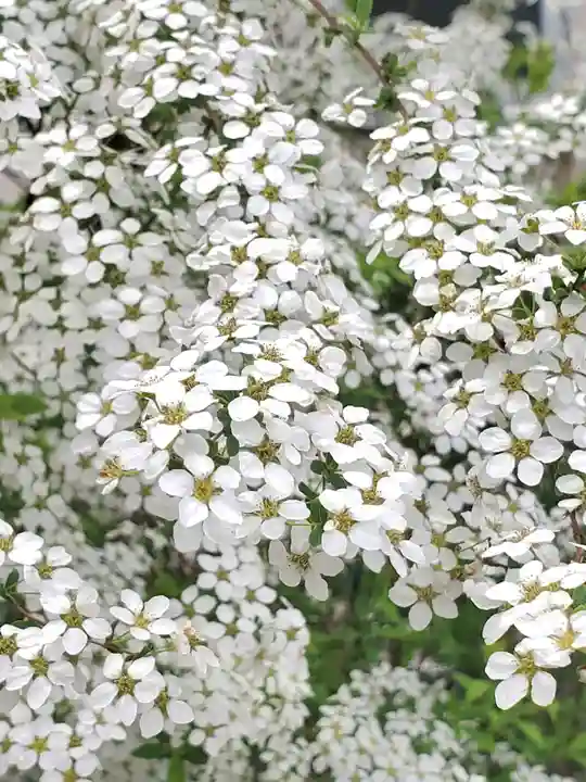 阿邪訶根神社(福島県)