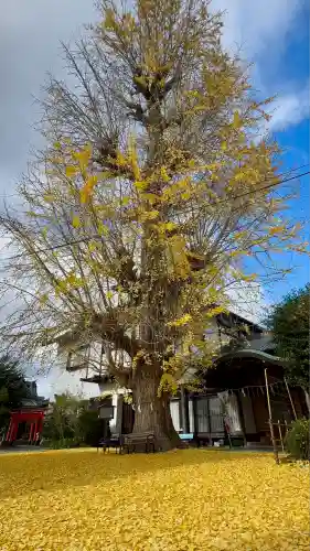 和田神社(滋賀県)