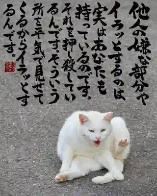 専念寺(大阪府)