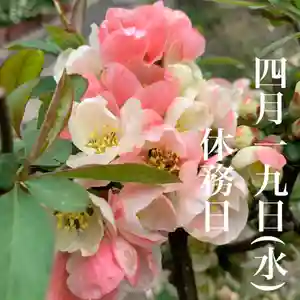 豊景神社(福島県)(2022年04月18日(月) 15時49分35秒投稿)