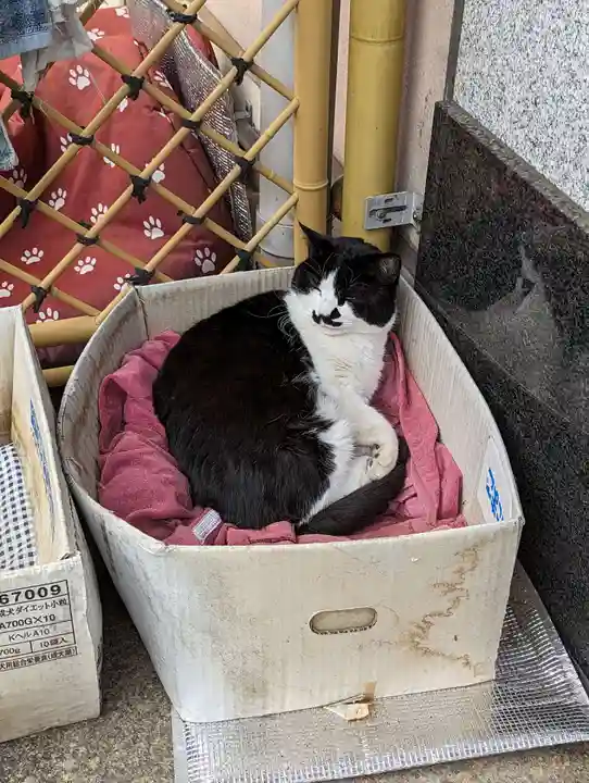 白金氷川神社の動物
