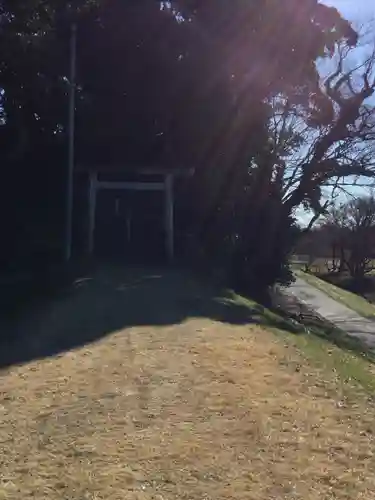 浅間神社の鳥居