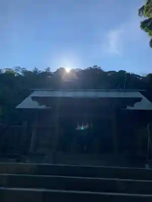 安房神社の{uncategorized: "未分類", other: "その他", undefined: "問題あり", building: "その他建物", grave: "お墓", sacred_gate: "鳥居", guardian: "狛犬", statue: "像", buddha: "仏像", history: "歴史", nature: "自然", garden: "庭園", animal: "動物", pagoda: "塔", temizu: "手水舎", mountain_gate: "山門・神門", sanctuary: "本殿・本堂", subordinate: "末社・摂社", art: "芸術", scenery: "景色", jizo: "地蔵", ema: "絵馬", goshuin: "御朱印", omikuji: "おみくじ", items: "授与品その他", amulet: "お守り", goshuincho: "御朱印帳", eats: "食事", festival: "お祭り", votive_dance: "神楽", shichigosan: "七五三参", wedding: "結婚式", experience: "体験その他", initially: "初詣", around: "周辺", anti_infection: "感染症対策"}