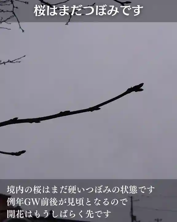 宝光寺(北海道)