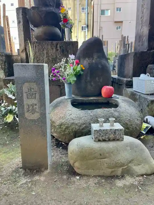 常圓寺の{uncategorized: "未分類", other: "その他", undefined: "問題あり", building: "その他建物", grave: "お墓", sacred_gate: "鳥居", guardian: "狛犬", statue: "像", buddha: "仏像", history: "歴史", nature: "自然", garden: "庭園", animal: "動物", pagoda: "塔", temizu: "手水舎", mountain_gate: "山門・神門", sanctuary: "本殿・本堂", subordinate: "末社・摂社", art: "芸術", scenery: "景色", jizo: "地蔵", ema: "絵馬", goshuin: "御朱印", omikuji: "おみくじ", items: "授与品その他", amulet: "お守り", goshuincho: "御朱印帳", eats: "食事", festival: "お祭り", votive_dance: "神楽", shichigosan: "七五三参", wedding: "結婚式", experience: "体験その他", initially: "初詣", around: "周辺", anti_infection: "感染症対策"}
