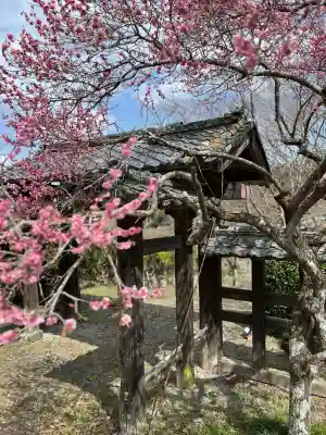 陽林寺(福島県)
