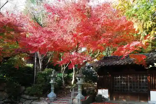 智光院(山口県)