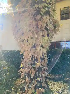 大斎原（熊野本宮大社旧社地）(和歌山県)