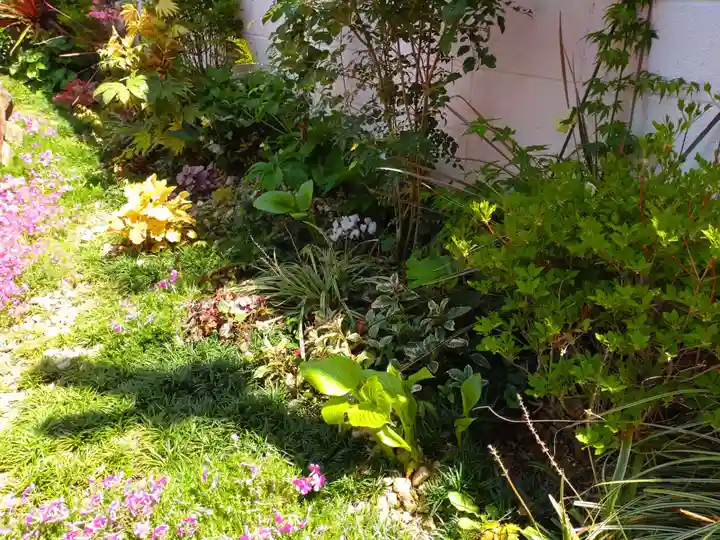 寿量山 速成寺の自然