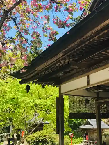 柳津虚空蔵尊 寳性院の本殿・本堂