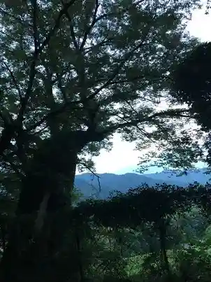 阿上三所神社(京都府)