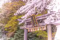 志波彦神社・鹽竈神社(宮城県)