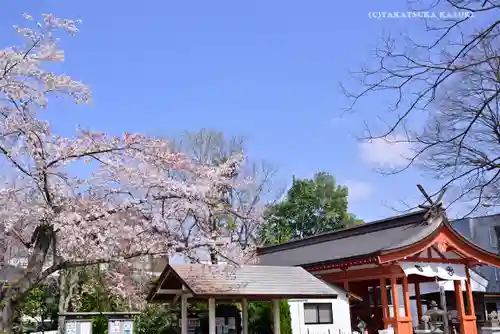 秩父今宮神社の自然