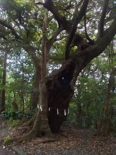 秋葉神社の自然