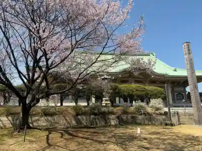 総持寺の{uncategorized: "未分類", other: "その他", undefined: "問題あり", building: "その他建物", grave: "お墓", sacred_gate: "鳥居", guardian: "狛犬", statue: "像", buddha: "仏像", history: "歴史", nature: "自然", garden: "庭園", animal: "動物", pagoda: "塔", temizu: "手水舎", mountain_gate: "山門・神門", sanctuary: "本殿・本堂", subordinate: "末社・摂社", art: "芸術", scenery: "景色", jizo: "地蔵", ema: "絵馬", goshuin: "御朱印", omikuji: "おみくじ", items: "授与品その他", amulet: "お守り", goshuincho: "御朱印帳", eats: "食事", festival: "お祭り", votive_dance: "神楽", shichigosan: "七五三参", wedding: "結婚式", experience: "体験その他", initially: "初詣", around: "周辺", anti_infection: "感染症対策"}