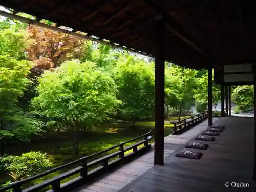 興聖寺(京都府)