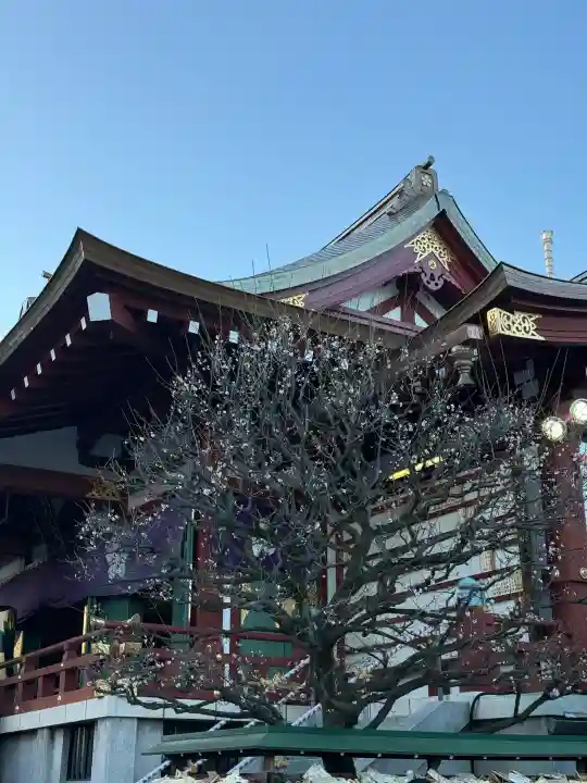 亀戸天神社の{uncategorized: "未分類", other: "その他", undefined: "問題あり", building: "その他建物", grave: "お墓", sacred_gate: "鳥居", guardian: "狛犬", statue: "像", buddha: "仏像", history: "歴史", nature: "自然", garden: "庭園", animal: "動物", pagoda: "塔", temizu: "手水舎", mountain_gate: "山門・神門", sanctuary: "本殿・本堂", subordinate: "末社・摂社", art: "芸術", scenery: "景色", jizo: "地蔵", ema: "絵馬", goshuin: "御朱印", omikuji: "おみくじ", items: "授与品その他", amulet: "お守り", goshuincho: "御朱印帳", eats: "食事", festival: "お祭り", votive_dance: "神楽", shichigosan: "七五三参", wedding: "結婚式", experience: "体験その他", initially: "初詣", around: "周辺", anti_infection: "感染症対策"}