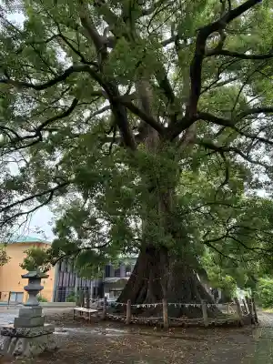 天地神社(静岡県)