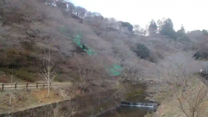 川見薬師寺(愛知県)