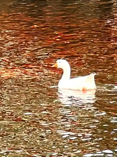 生島足島神社(長野県)