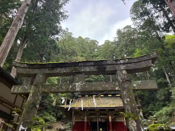 鳳来山東照宮(愛知県)