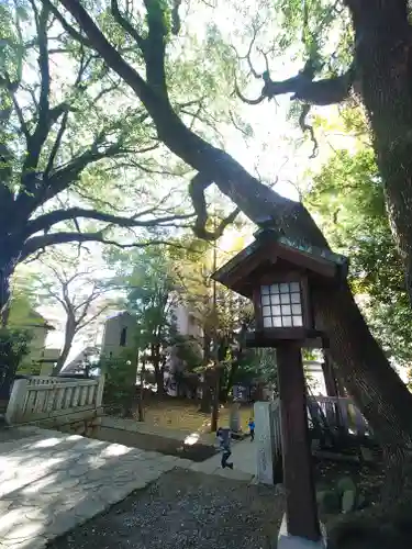 洲崎大神(神奈川県)