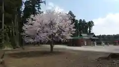 鹿嶋三嶋神社の自然