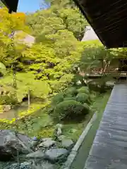 禅林寺（永観堂）(京都府)