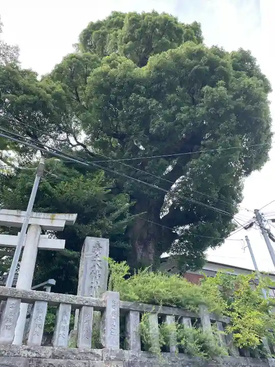 産土八幡神社(神奈川県)