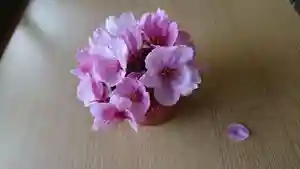 阿邪訶根神社の自然(2021年04月07日(水) 00時00分31秒投稿)