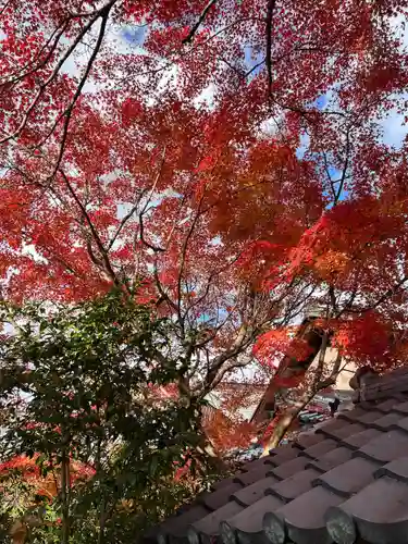 神應寺(京都府)