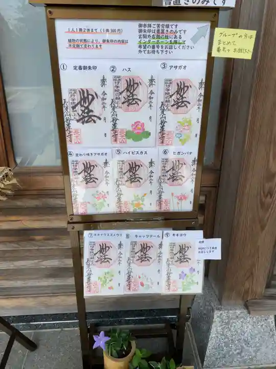 妙蓮寺の御朱印